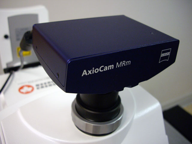 Zeiss AxioCam MRm