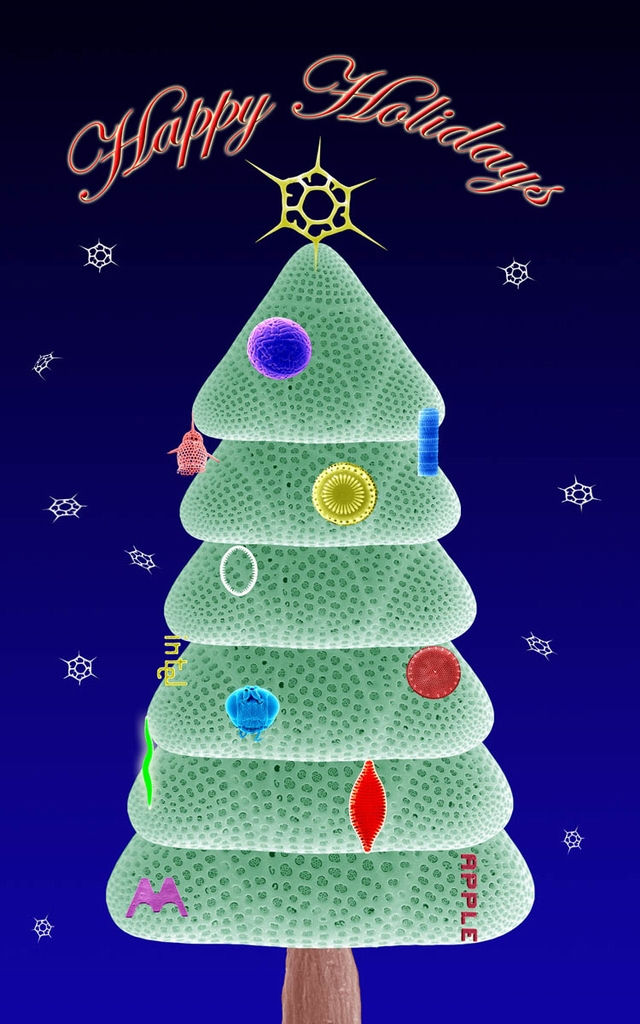 Microscopic Christmas