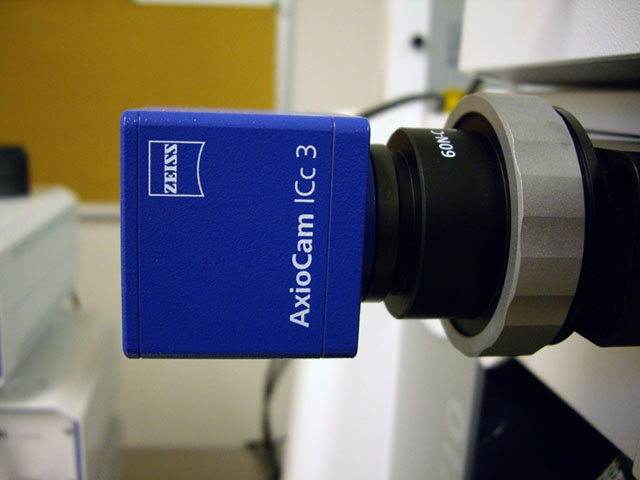 Zeiss AxioCam ICc3