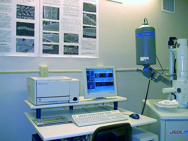 Oxford Inca Energy 200 EDS system