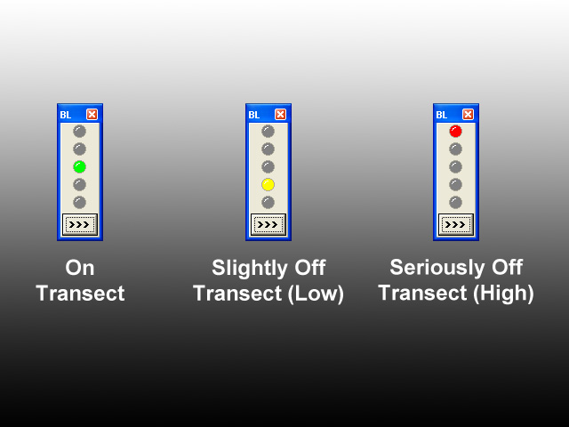 DMF Developed Software: BL