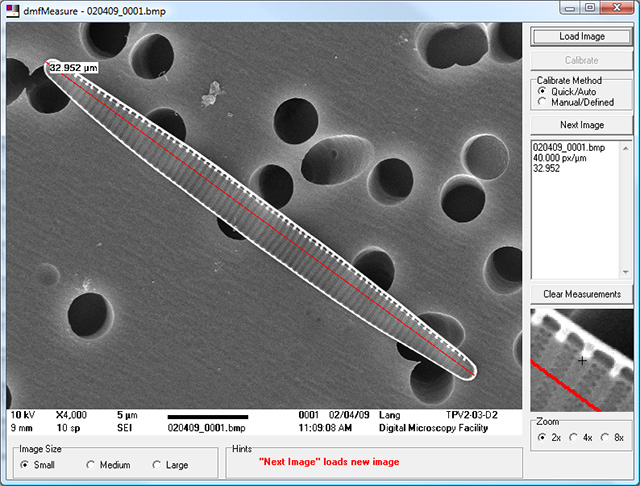 DMF Developed Software: dmfMeasure