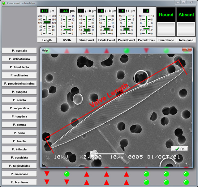 DMF Developed Software: dmfTable Help