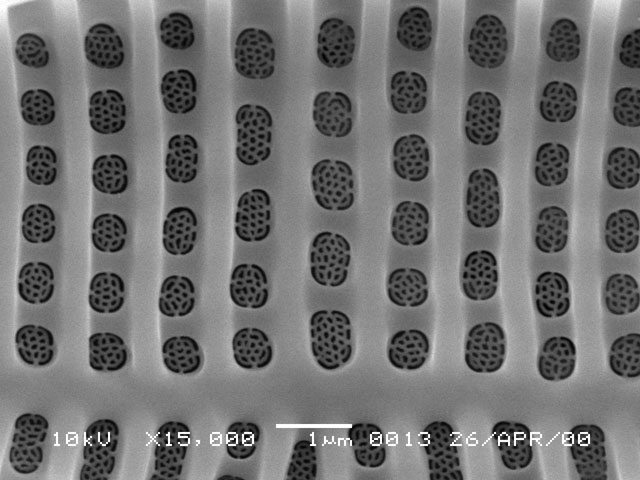 What Is It? #4 What Is It? #4