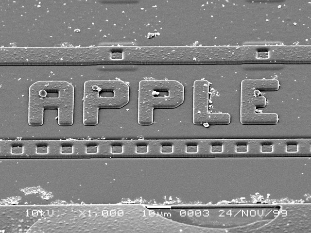 What Is It? #8 What Is It? #8