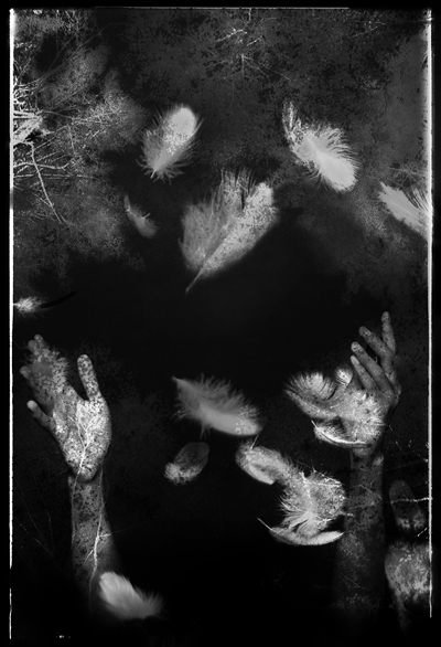 Adrian_Kiva_For_the_Birds_artshow