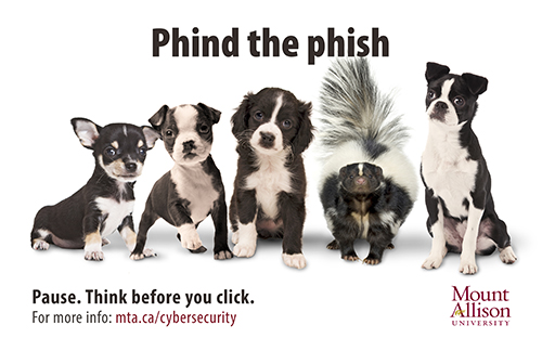 Phishing puppies