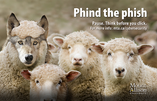 Phishing sheep