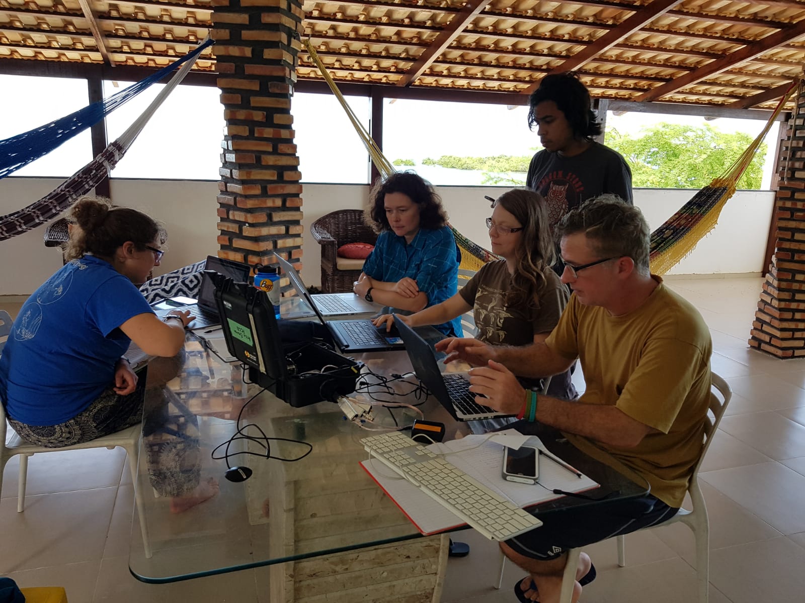 DHamilton_Brazilresearch_collaborators