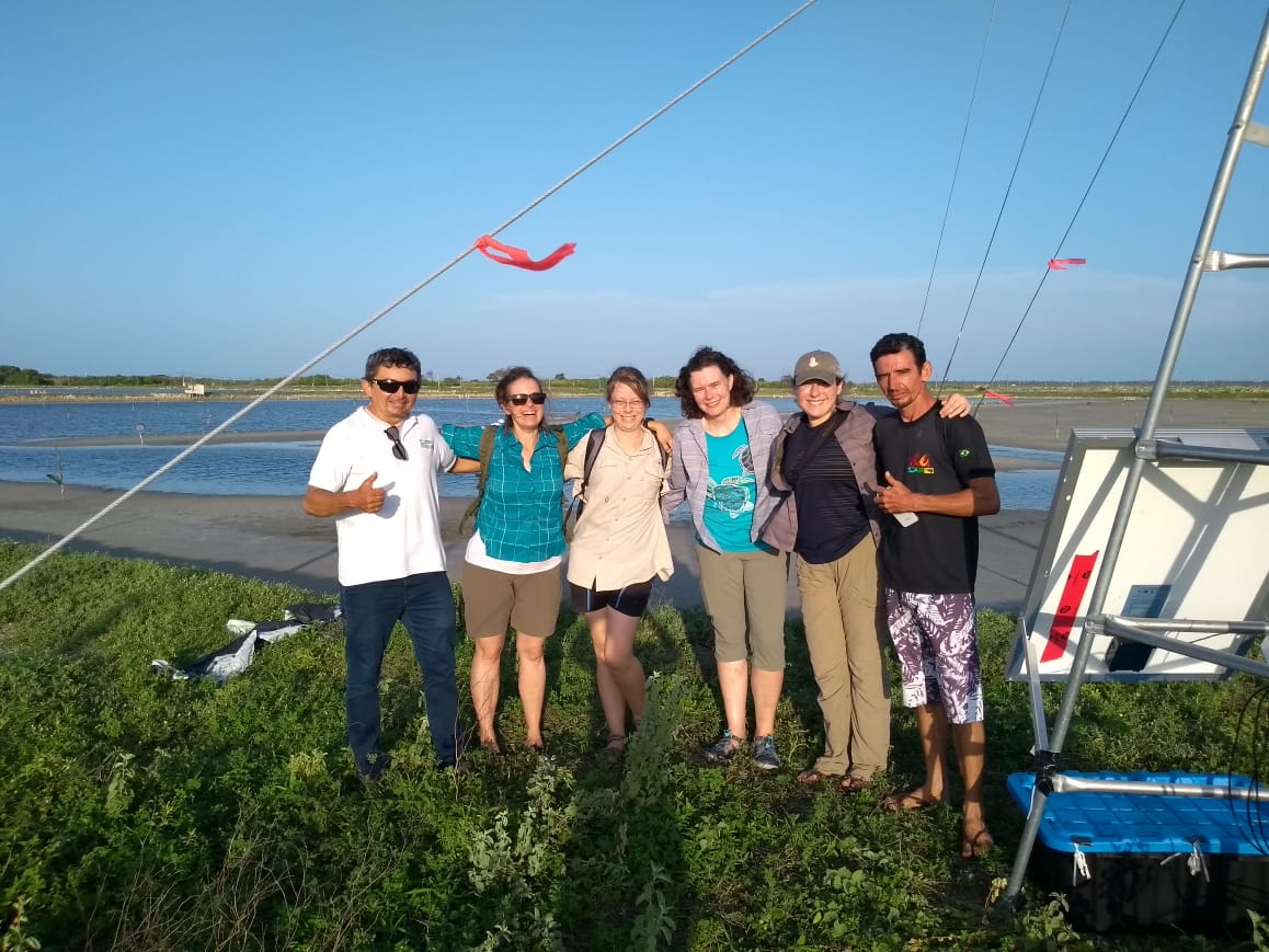 DHamilton_Brazilresearch_field