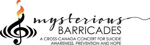 Mysterious_Barricades