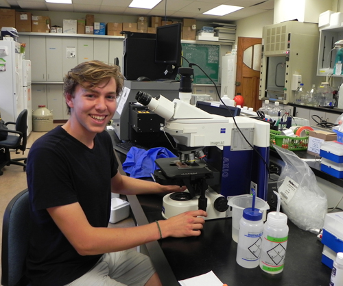 Matt_Fyfe_ESSummerResearch