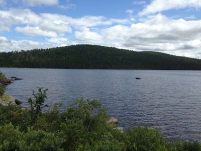 Kurek_DDTLakestudy2019